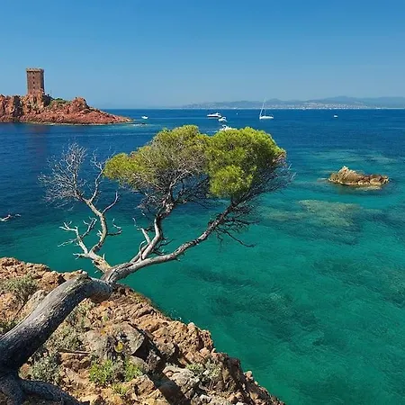 Avec Jardin, Piscine, Plage, Tennis Appartement Fréjus